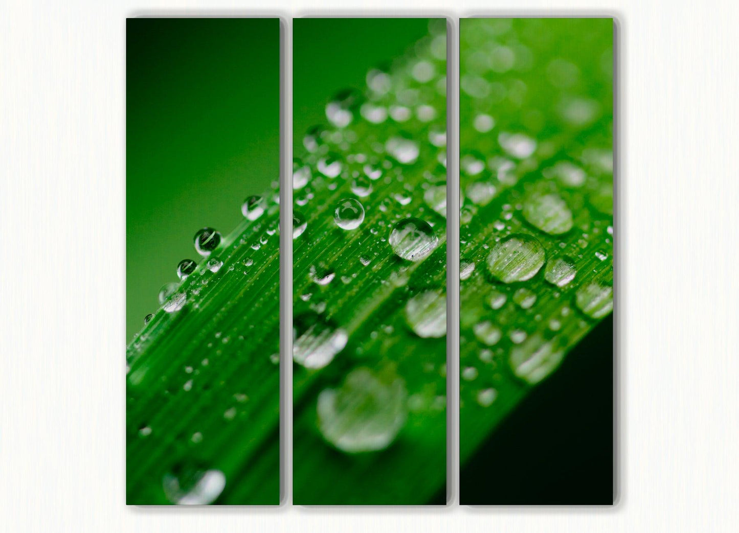 Akoestisch drieluik fotografie grasspriet