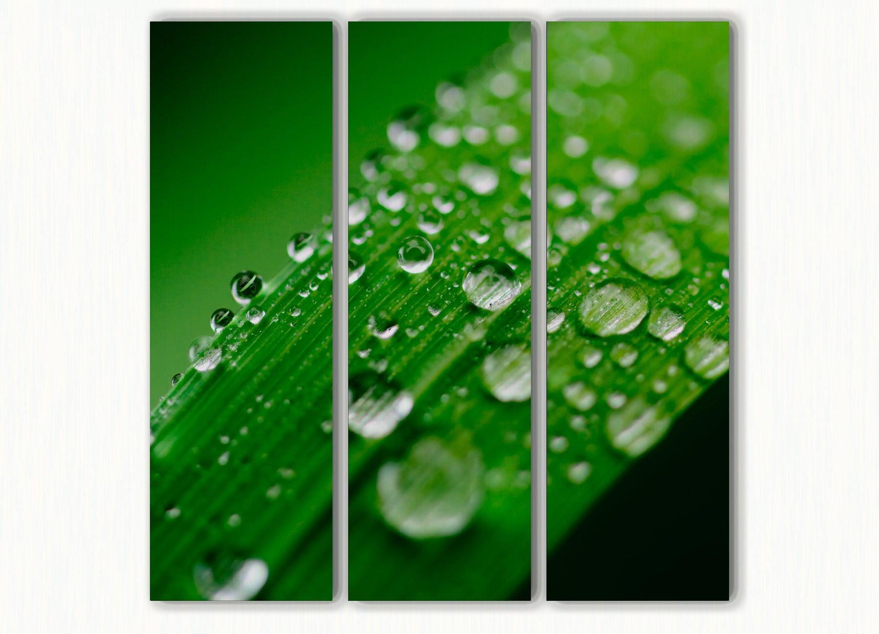 Akoestisch drieluik fotografie grasspriet